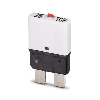 Thermisch-magnetisch apparaat schakelaars 2 polen nummer en magnetisch voor TCP 25/DC32V