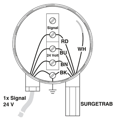 2 polenoverspanningsscherm met 24 V gelijkstroom nominale spanning Phoenix Contact S-PT-2XEX-24DC
